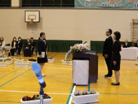 IMGP0055
