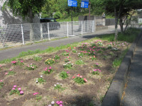 IMG_4739