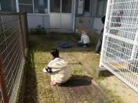 IMGP0415
