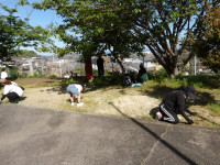 IMGP0403