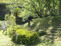 IMGP0433