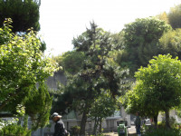 IMGP0434