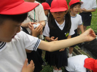 IMG_5283