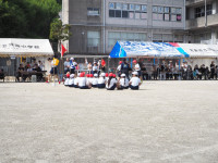 P5240160