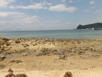 IMGP1079