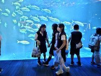 20250627_095055