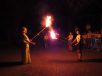 IMG_9519