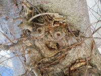 IMG_3515 - コピー