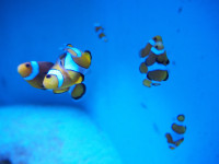 P6250231